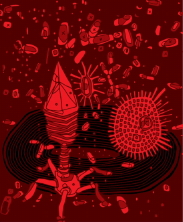 නොනවතින වසංගත: සතුරා&nbsp;හඳුනාගැනීම