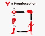 Image result for proprioception