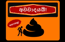 මල ( අසූචි) පිළිබඳ දැවැන්ත ප්‍රශ්නයට ගෝලීය විසඳුමක්&nbsp;අවශ්‍යයි