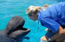 සතුන් දිය යට දී හුස්ම ගන්නෙ&nbsp;කොහොමද?