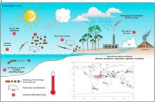 පෘථිවි පද්ධතිය තුළ දූවිල්ල : භෞමික  ප‍්‍රදේශ තුළ දූවිලි නිධි&nbsp;සාධනය