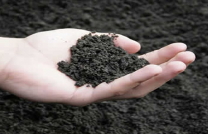 සියල්ලෙහි සුලමුල 11- පස් එන්නේ&nbsp;කොයිබින්ද?