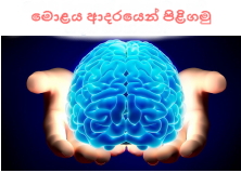ඔබේ මොළය හඳුනාගන්න: මොළය ආදරයෙන්&nbsp;පිළිගමු