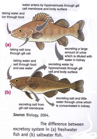 See the source image