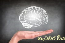 ඔබේ මොළය හඳුනාගන්න: ජීවිත කාලය තුළ ඒ ඒ අවධියේ ඔබේ&nbsp;මොළය