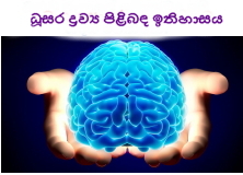 ඔබේ මොළය හඳුනාගන්න: අපගේ ධුසර පදාර්ථ පිළිබඳ ඉතිහාසය&nbsp;කෙටියෙන්
