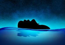 සංජානනය: සංවේදනය අහිමිවීම