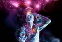 සංජානනය: ඔබේ මොළය යථාර්ථය නිර්මාණය කරන&nbsp;හැටි