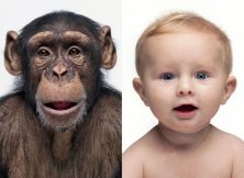 ජනවර්ගය යන්න හුදු ලේබලයක් පමණයි — එහි විද්‍යාත්මක පදනමක්&nbsp;නැහැ