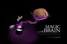 සංජානනය:  ඉන්ද්‍රජාලික විද්‍යාව සහ&nbsp;මොළය