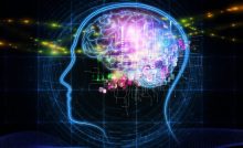 බුද්ධිය: බුද්ධිය කියන්නේ හරියටම&nbsp;කුමක්ද?