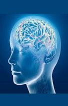 බුද්ධිය: අපට හොරා අපේ චිත්තය කරන&nbsp;දේවල්