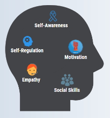 බුද්ධිය: චිත්තවේගී බුද්ධිය (Emotional&nbsp;intelligence)