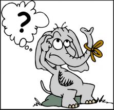 ස්මරණය සහ උගෙනීම: සතුන්ට කවදා හෝ අමතකවීම් සිදු&nbsp;වෙනවාද?