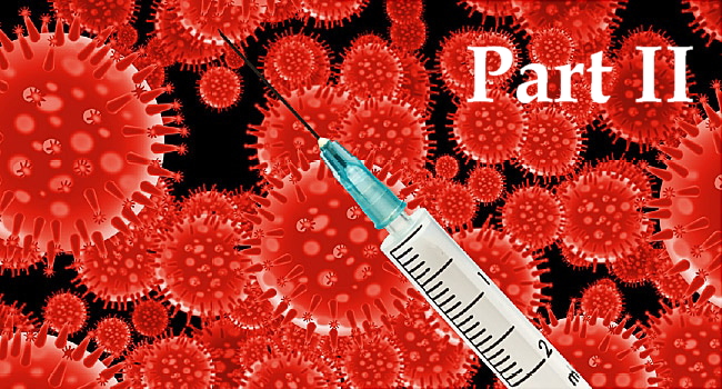 ගෝලීය COVID-19 එන්නත් ප්රයත්නයන් සඳහා මාර්ගෝපදේශයක්&nbsp;II