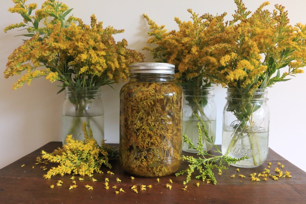 Plant Potions: Tinctures.Infusions.Concoctions — Culinary Witch
