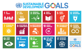 Projects Organized by UN Sustainable Development Goal | Asia Society
