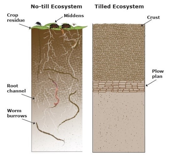Why Ploughing Is Such A Bad Idea. Ploughing adds to global warming and… |  by Daan | DataDrivenInvestor