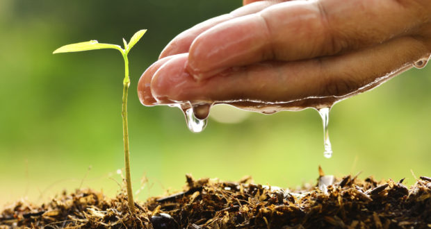 සංකීර්ණ, ගතික පාංශු ජලය(Soil&nbsp;Water)