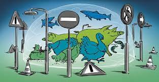 ජෛව ආරක්ෂණය