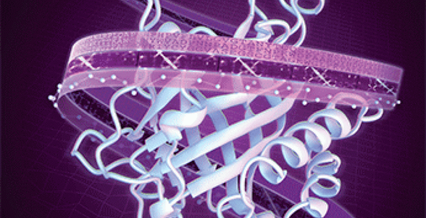 කල්ගත ආසාදනයන් අන්තරාදායක නව ප්‍රභේද බිහි කරයි&nbsp;ද?