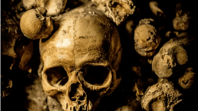 හොමෝ ??? විශේෂය.  නව අබිරහස් මානව විශේෂයක්&nbsp;සොයාගැනේ