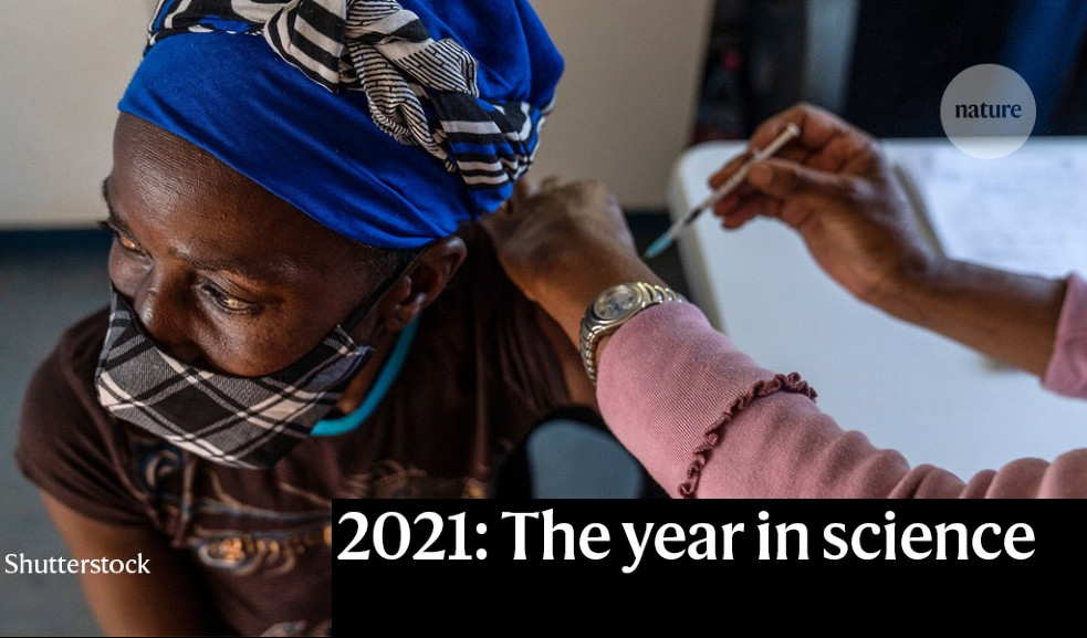 ආපසු හැරී බැලීමක්: 2021 හැඩ ගැස්වූ විදු&nbsp;පුවත්