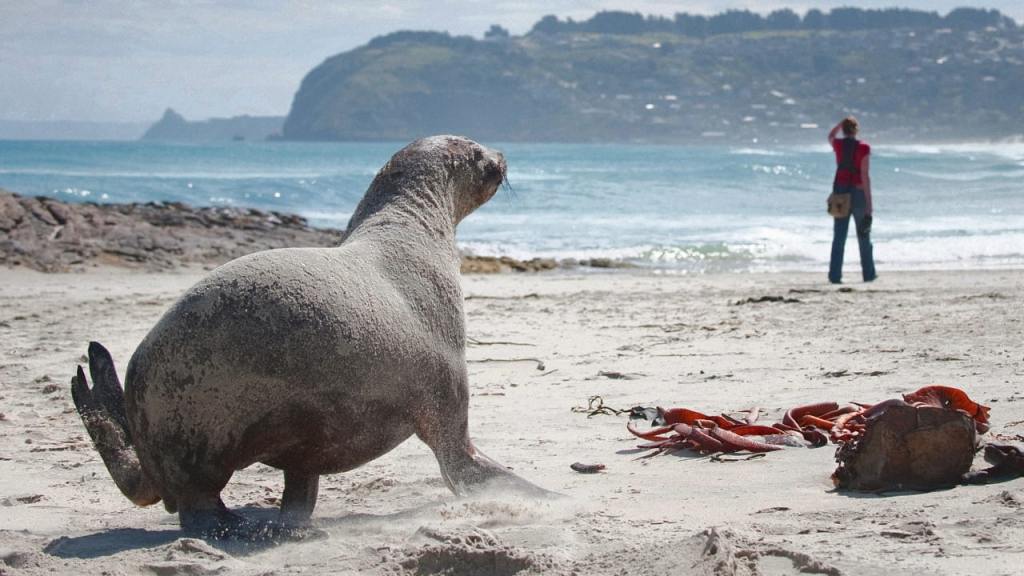 ආපදාපන්න විශේෂ යළි ප්‍රකෘතිමත්වෙද්දී ඔවුනට නිසි ඉඩ කඩ සපයා දීමේ&nbsp;වැදගත්කම