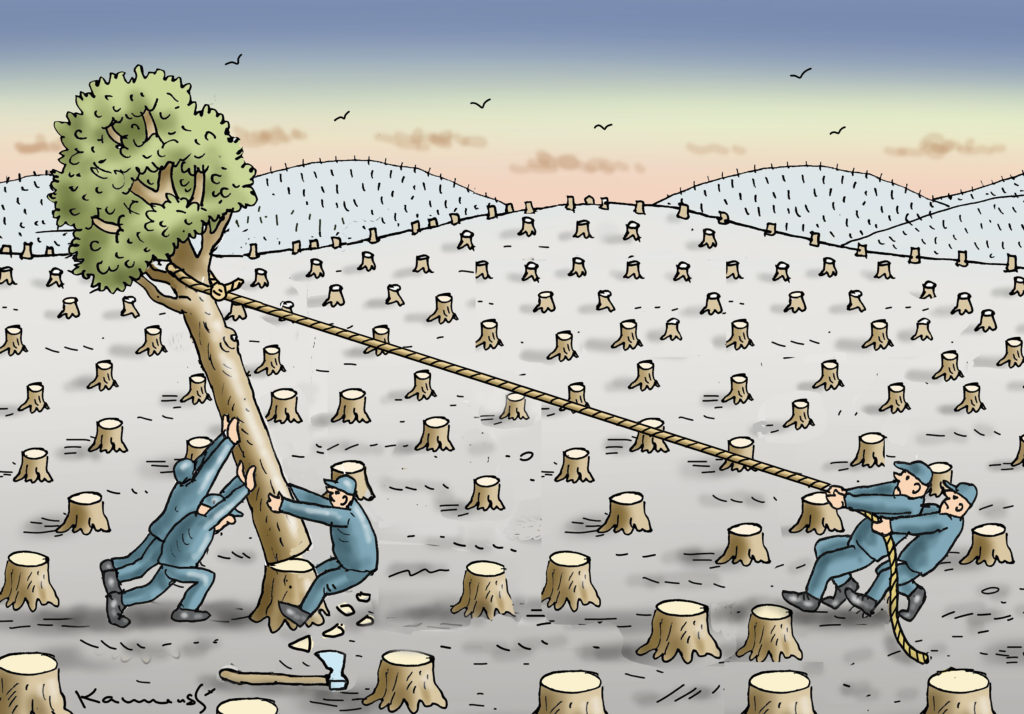 පෘථිවියට දැනටමත් අප සිදු කර ඇති හානිය ආපස්සට හැරවිය&nbsp;හැකිද?