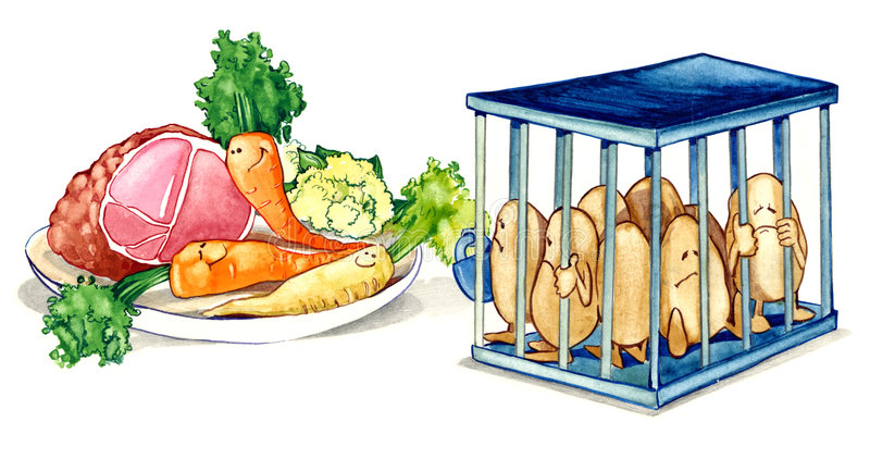 ආහාරය, ප්රතිශක්තිකරණය සහ&nbsp;පෝෂණය