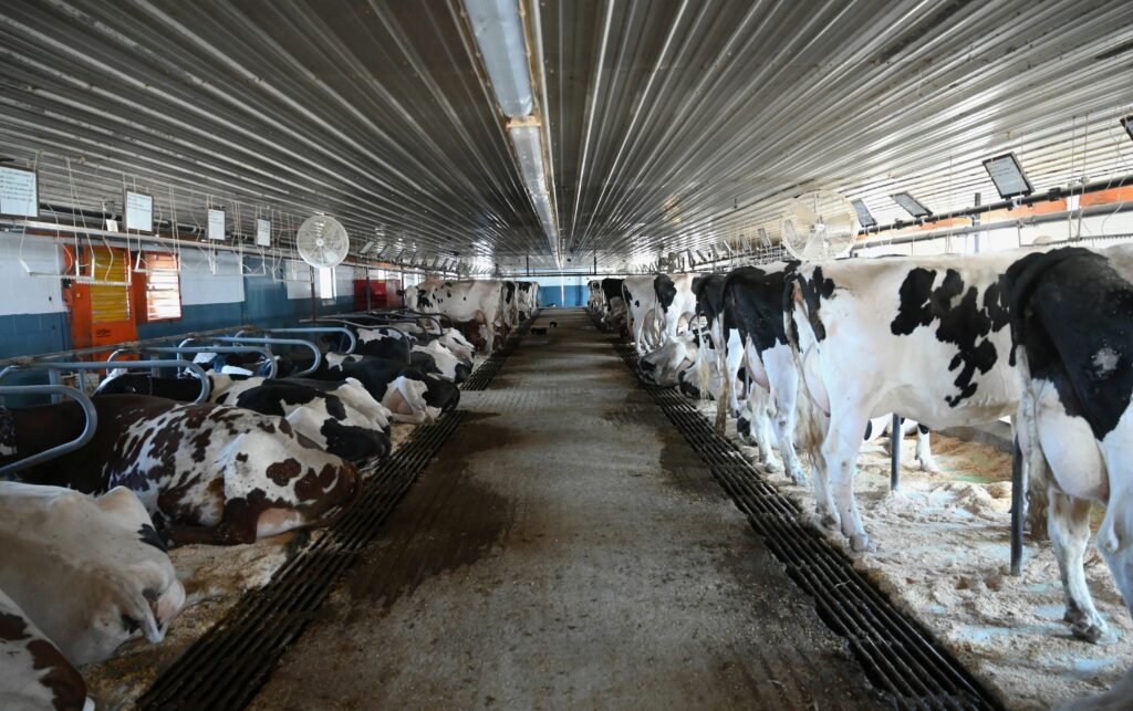 පශූ පොහොර බුදින පණුවන් දේශගුණික විසඳුමක් බවට පත් විය&nbsp;හැකිය