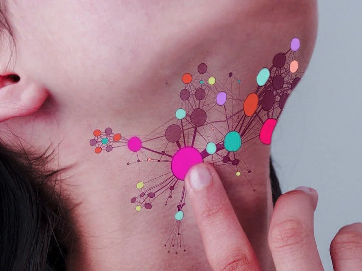 නියුරෝන ව්‍යුහ විද්‍යාවට පහසු මග&nbsp;පෙන්වීමක්