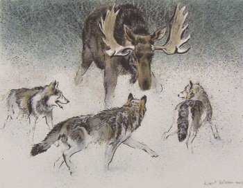 මේ ලෝකයේ මනුෂ්‍යන් නොමැතිව සුනඛයන්ට පැවතිය&nbsp;හැකිද?