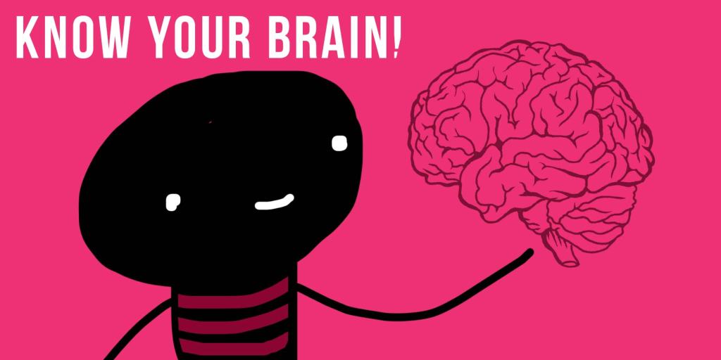 ඔබේ මොළය හඳුනාගන්න – 3: අභ්‍යන්තර&nbsp;මොළය