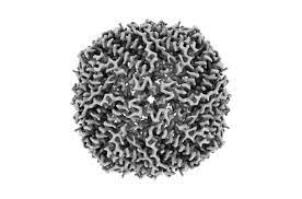 මිල අඩු අන්වීක්ෂයක් මගින් ප්‍රෝටීන සිතියම්කරණ තාක්ෂණය ජනතාව වෙත ගෙන යා&nbsp;හැකිය