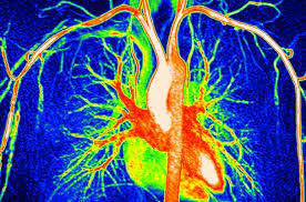 අප සිරුරේ සමානව වයසට නොයන ‘වඩාත් වයස්ගත අවයවවලට’  අනාගත රෝග අවදානම පුරෝකථනය කළ&nbsp;හැකියි