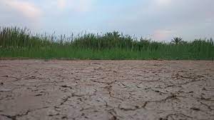 2023 වාර්තාගත උණුසුම ලොව පුරා නියඟ, ගංවතුර සහ ලැව්ගිනි නරක අතට හැරුණු ආකාරය: 2024 ටත්&nbsp;බලපෑම්