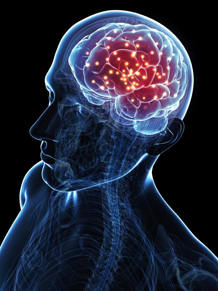 ජීවිතයේ ඒ ඒ අවධියේ ඔබේ&nbsp;මොළය